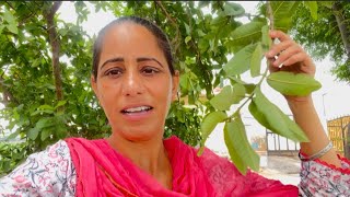 Rgpj Vlogs Is Live Good Night