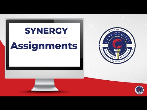 Synergy  Assignments.