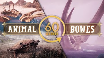 Skyrim Mod - Animal Bones (In 60 Seconds)