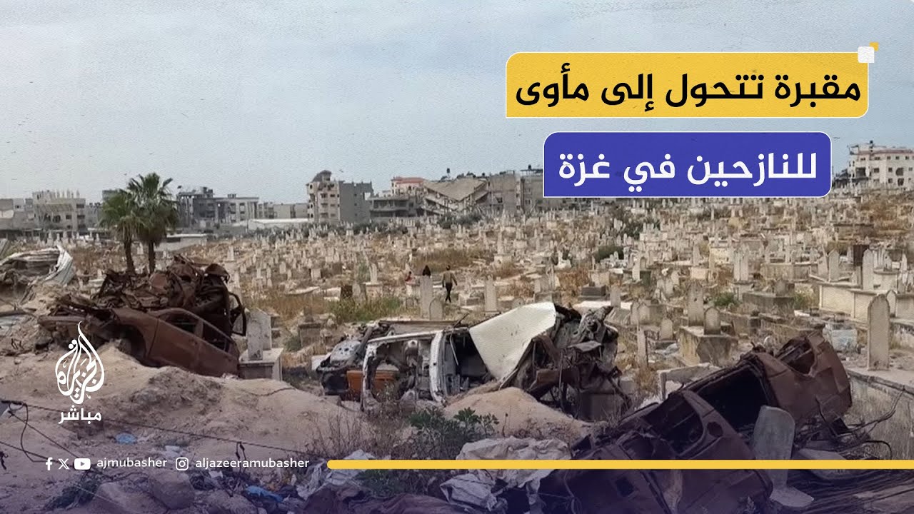 "نعيش بين القبور والكلاب الضالة"... مقبرة تتحوّل إلى مأوى لعائلات نازحة في غزة