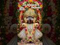 Jai Jagannath# Puri Jagannath #Jagannath Dham# Jagannath Temple#trending#viral#ytstudio #shorts🙏🏻🚩🚩