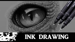 Drawing a CROCODILE EYE