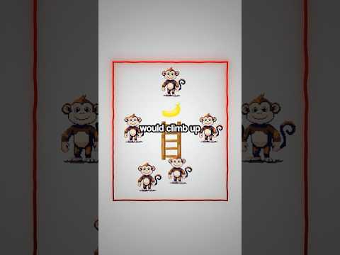 The Five Monkeys