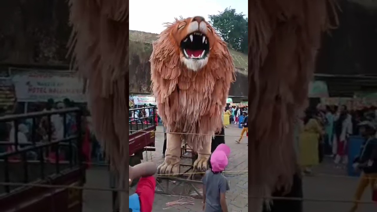 Lion 😎😎|jaambore 