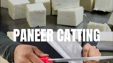 HOW TO CUT PANEER - Easy Half-N-Half Method | Indian Cottage Cheese In Different Shapes & Recipes