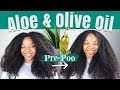 How I PRE-POO my Hair with ALOE VERA and OLIVE OIL (Updated Routine)