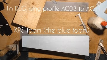 1m GF DLG-Part.1-wing cores