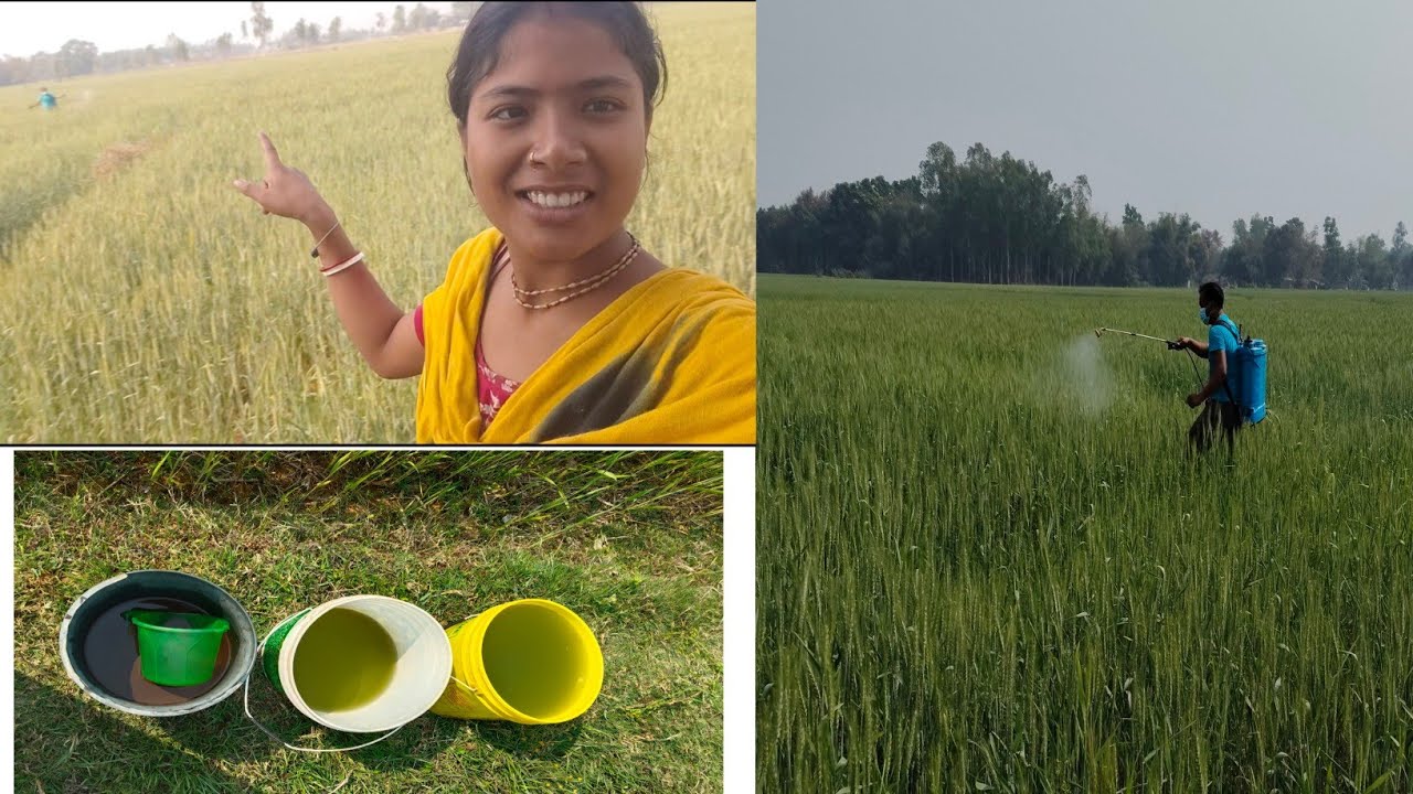 আমি হঠাৎ করে কোথাই গেলাম, গিয়ে এটা আমার সঙ্গে কি হলো? #video #foryou #Moumitavlog