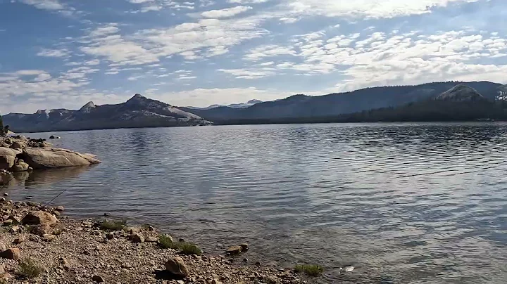 Courtright Reservoir View