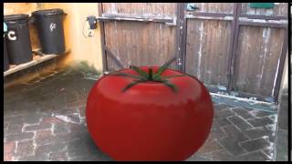 Giant Tomato - Elements 3D + Camera Tracker