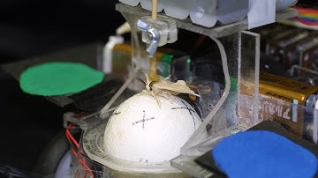 A small robot being driven by a moth