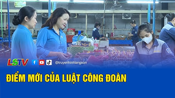 Điểm mới của Luật Công đoàn | Lao động và Công đoàn 15/8/2025 | Truyền hình Lạng Sơn | LSTV