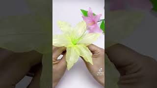 Ajoyib Gul Yasash...