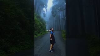 Feel This Song  Nahi Karna Bharosa Ab Kisi Pe  shorts selflove viral trending