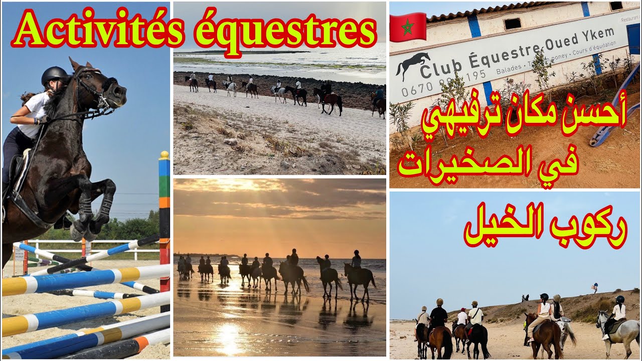 ركوب الخيل بالصحيرات 💥لعشاق الخيل نادي الفروسية واديكم في الصخيرات#المغرب #activité #club équestre