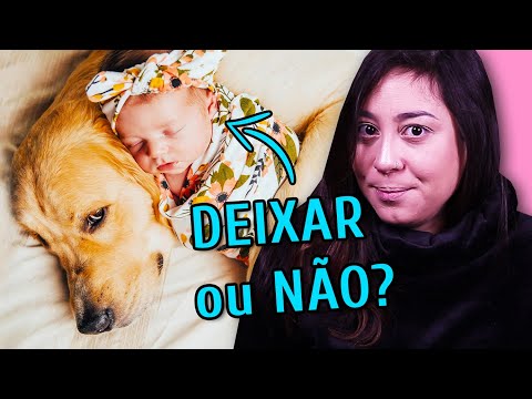 Vídeo: Os Cães Podem Proteger Os Bebês De Algumas Infecções, Afirma O Estudo