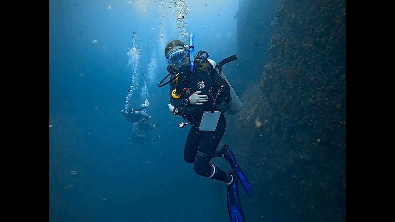 padi instructor development course