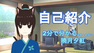 「【新人Vtuber】改めまして自己紹介！【暁月夕紅】」のサムネイル