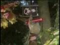 Rainier Beer - Cheeta's (Revised Music)