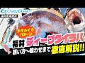 【タイラバ】絶対釣れるディープタイラバでの釣り方を徹底解説!