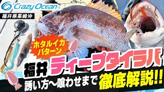 【タイラバ】絶対釣れるディープタイラバでの釣り方を徹底解説！