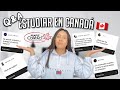 Q&A ESTUDIAR en CANADÁ 🇨🇦 ¿Puedo ESTUDIAR y TRABAJAR? ¿UNIVERSIDAD? ¿NIVEL DE INGLÉS?| MAPLE CONTACT