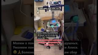 🆘💔 Срочный сбор на Укол Жизни ЗолгенСма. У Алисы сма 1 тип😭🙏 Карта: 2200 6001 4452 1276