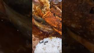 استكوزا أكلات بحريه