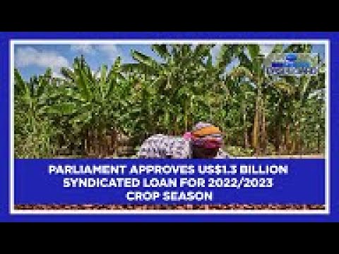 Parliament approves US$1.3 billion syndicated loan for 2022/2023 crop season | Business Dashboard