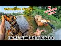 කොරෝනා කාලේ නිරෝධායනය 😷, HOME QUARANTINE DAY 6,Vlog 75  #corona #covid19 #quarantine 🐕