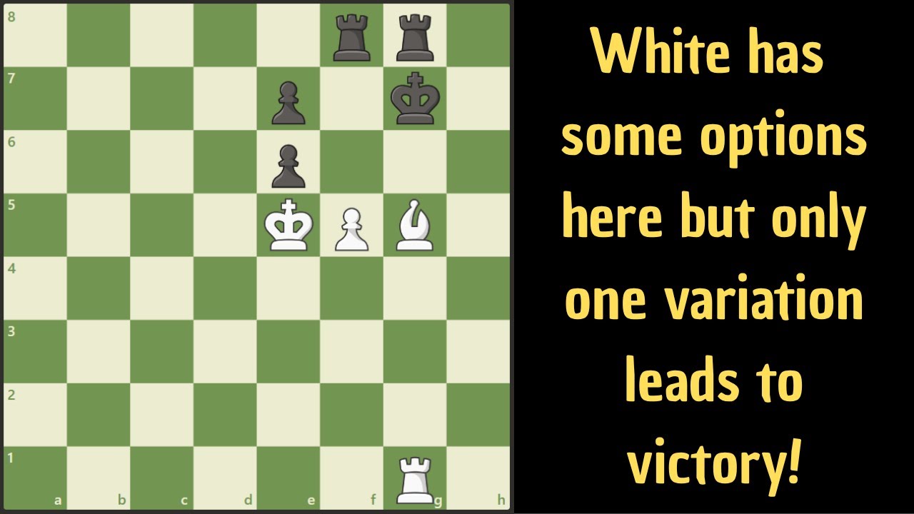 Этюд с несколькими интересными ходами, белые играют и выигрывают.