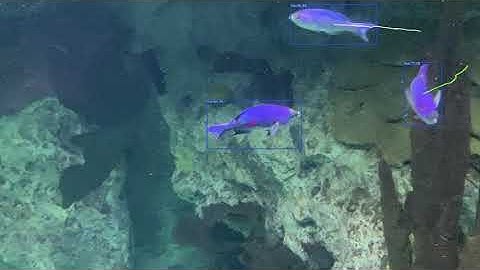 YOLOX object tracking with trajectory prediction