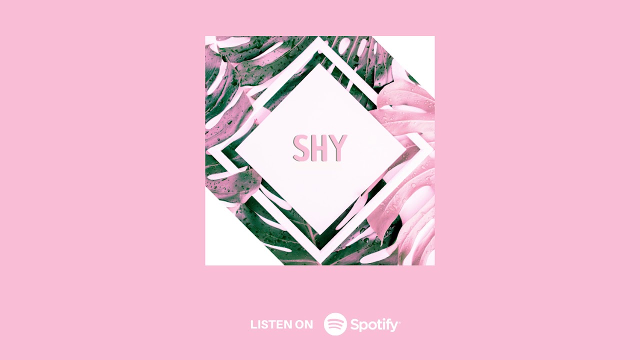 Chris Greig & The Merchants - SHY