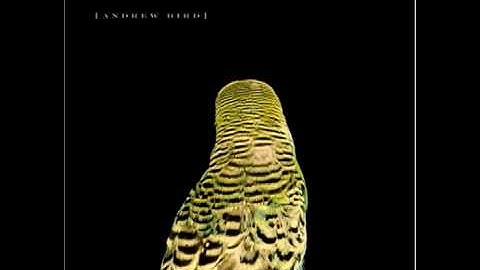 Andrew Bird - Imitosis