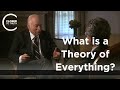 Steven Weinberg - What is a Theory of Everything? (Part 1/2)