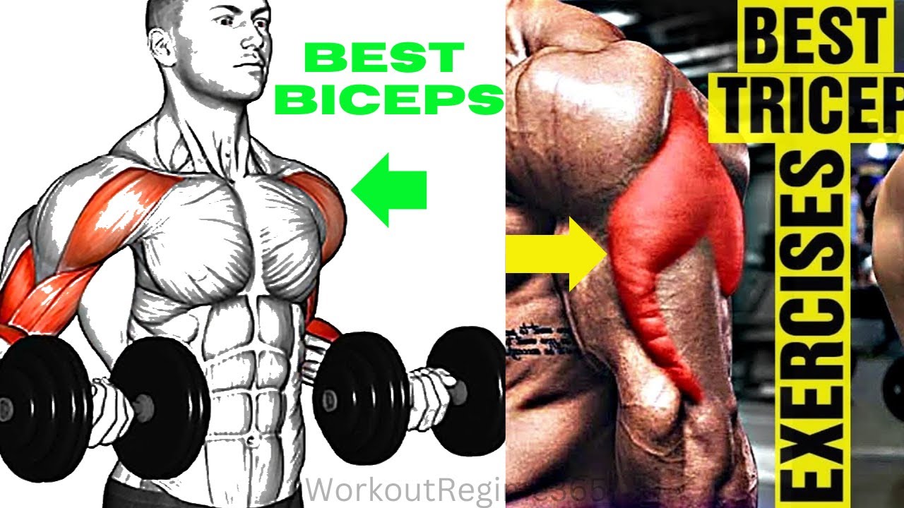 The Best Biceps and Triceps Exercises To Grow Massive Arms | - YouTube