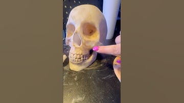 How to paint a 3D printed skull #3dprinting