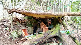 Winter Camping in the Wild, Bushcraft Survival Shelter Camp in Heavy Rain, Nature Documentary, Asmr by Wargeh Bushcraft 5,629,810 views 2 years ago 26 minutes