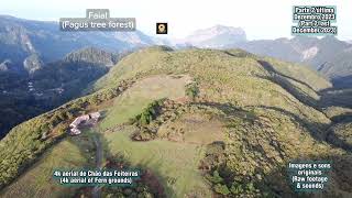 IMMERSE YOURSELVES IN MOUNTAINS OF MADEIRA with aerial 4k views of around Chão das Feiteiras part 2