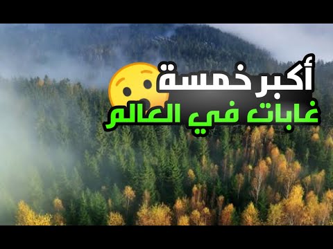 أكبر خمس غابات في العالم