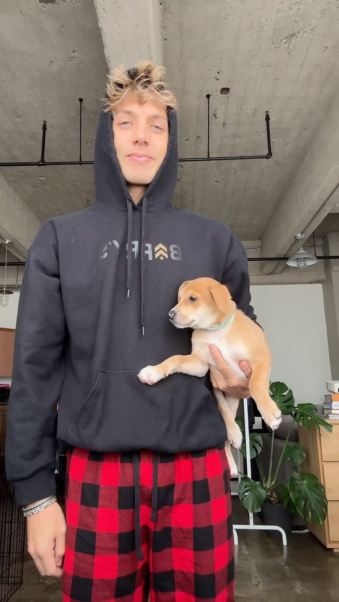 PUPDATE: i didn’t sleep last night ? #sheadurazzo #puppy #comedy