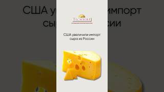 🧀 США увеличили импорт сыра из России #новости #news