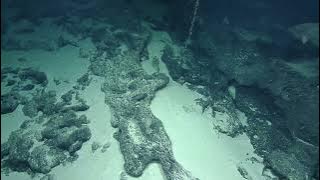 NA149_H1962_(7of10)_20230605_123538Z