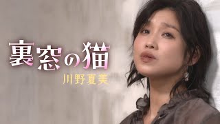 Video thumbnail of "川野夏美「裏窓の猫」MUSIC VIDEO"