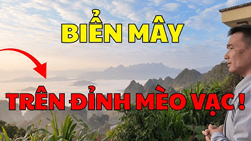 Săn Mây Ở Mèo Vạc – Đẹp Nghẹt Thở! 😳 | Bảy Vùng Cao #taybac #p5
