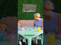 BLIPPI Join the Cutest Tea Party Adventure!