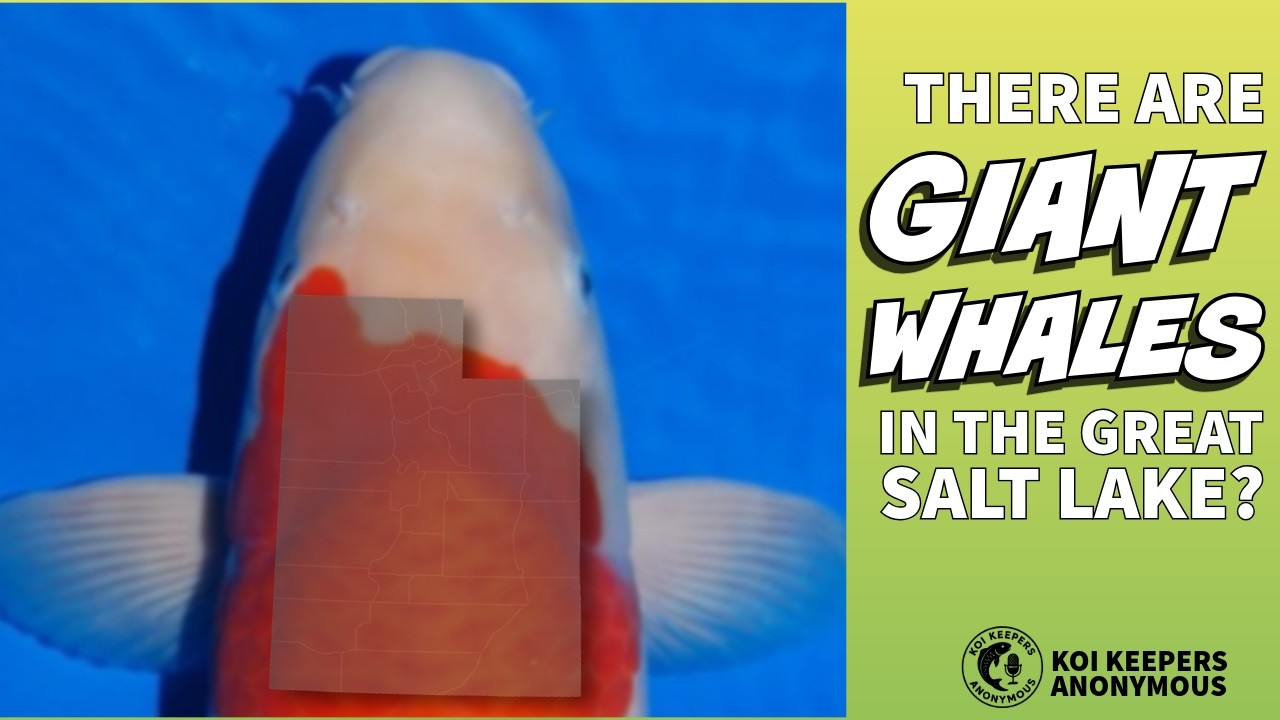 Ep. 14 There are giant whales in Utah?!?