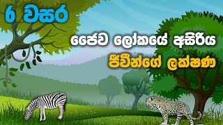 Grade 06 Science lessons in Sinhala |  Unit 01 Part 2 | 6 වසර විද්‍යාව 01 පාඩම | ජෛව ලෝකයේ අසිරිය