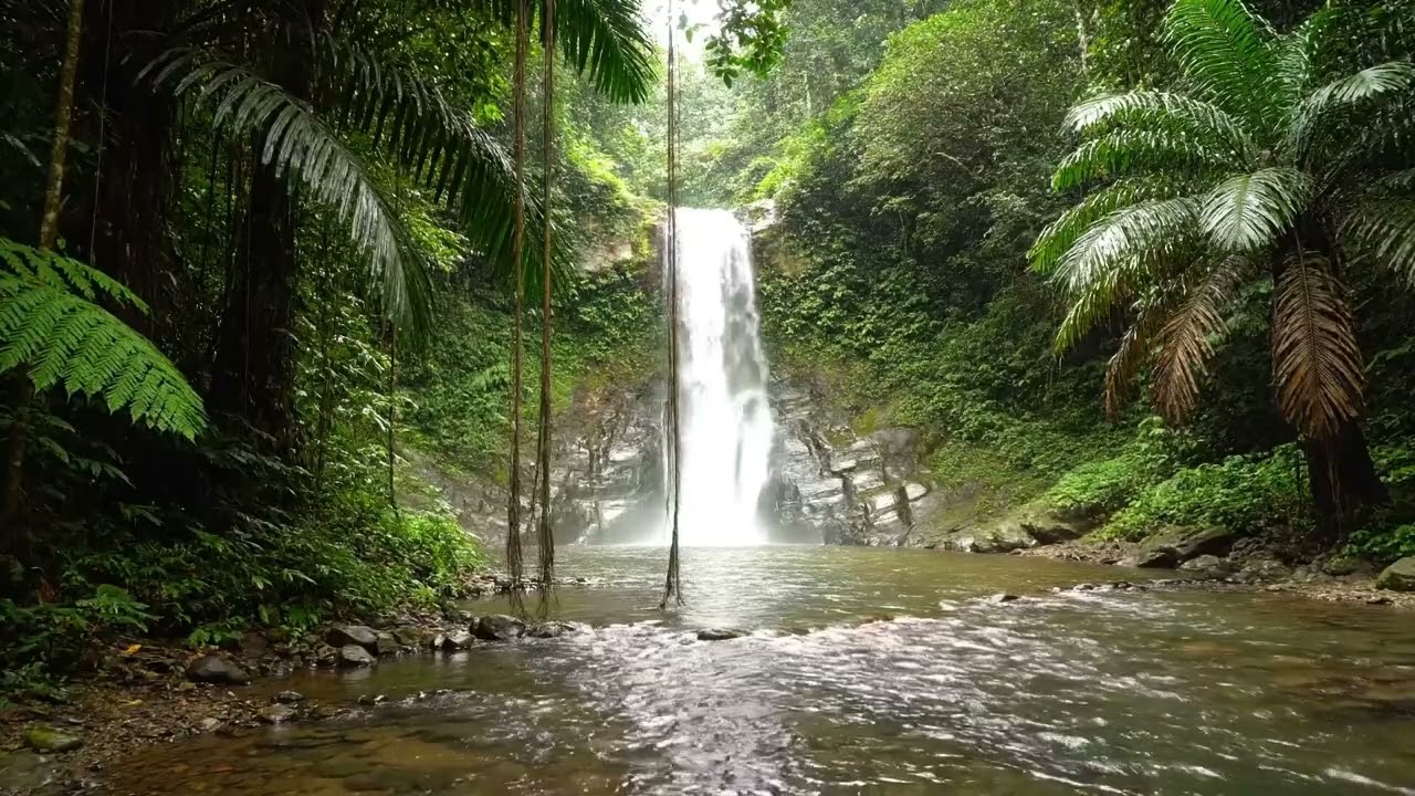 Tropical Forest: Beautiful Clean River Beneath a Waterfall (4 Hours) — Soft Current, No Talking