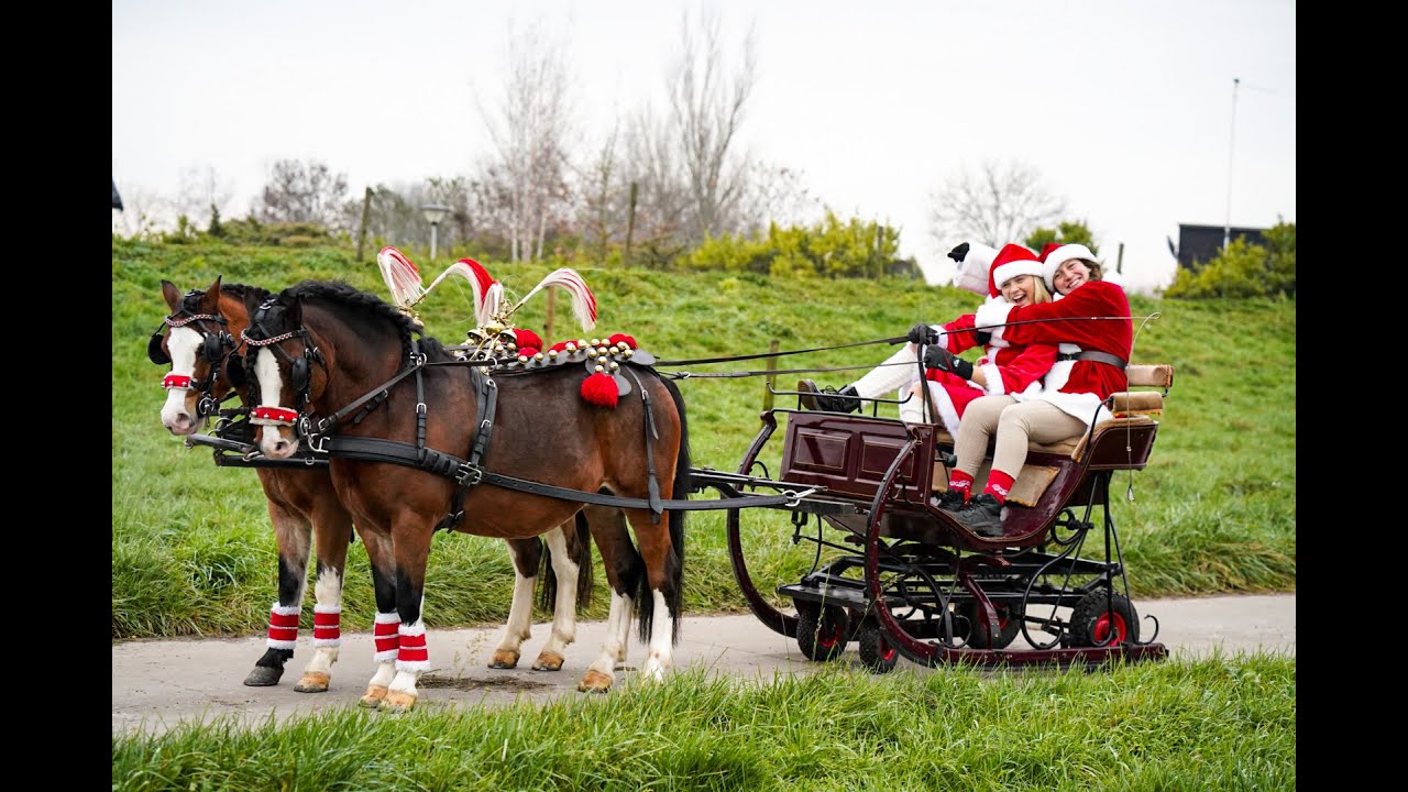 one horse open sleigh YouTube